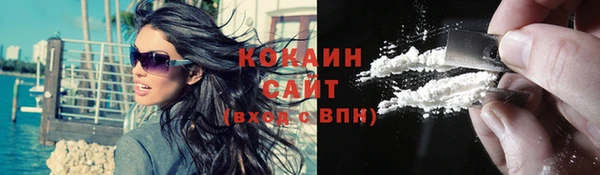 прущий лед Алзамай