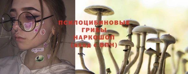 молекула духа Алексеевка