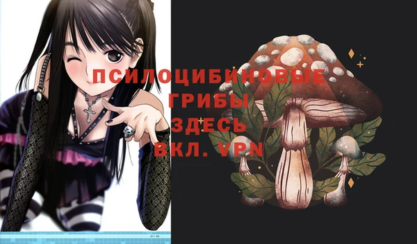 молекула духа Алексеевка