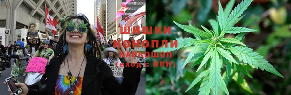 молекула духа Алексеевка