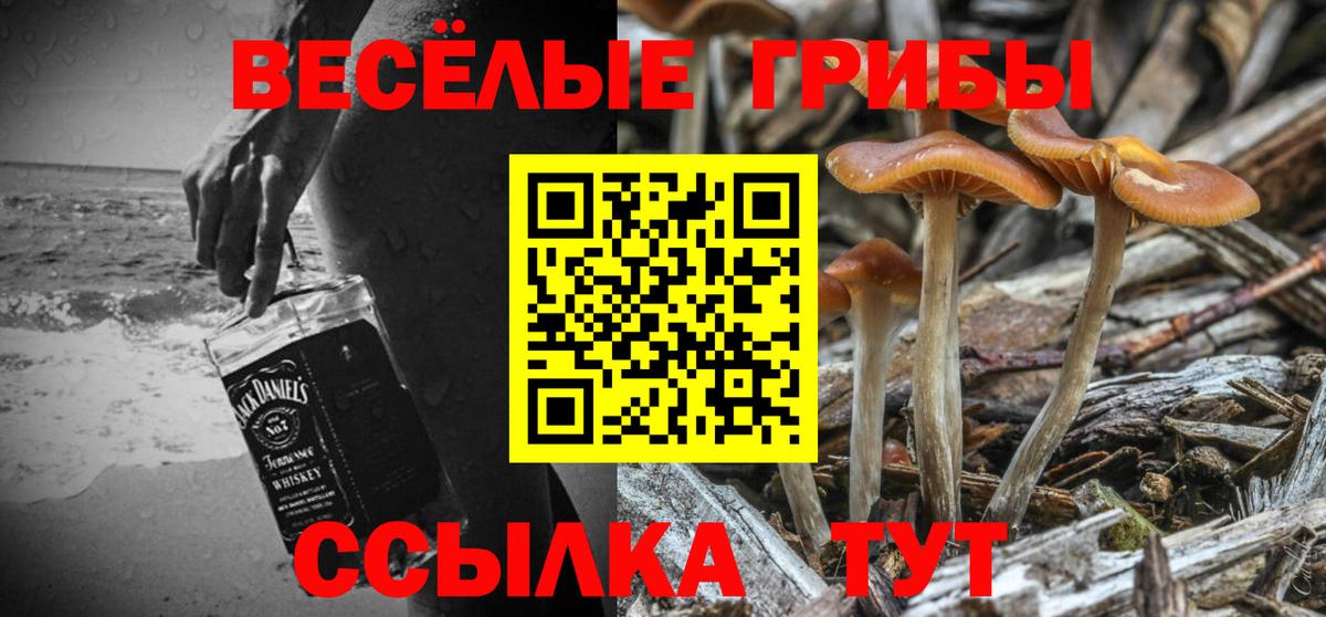 Псилоцибиновые грибы мухоморы Батайск