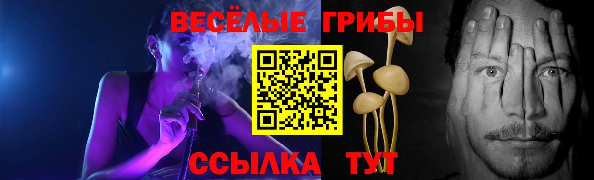 Псилоцибиновые грибы мицелий  Галлюциногенные грибы GOLDEN TEACHER  Батайск  Вход с VPN 